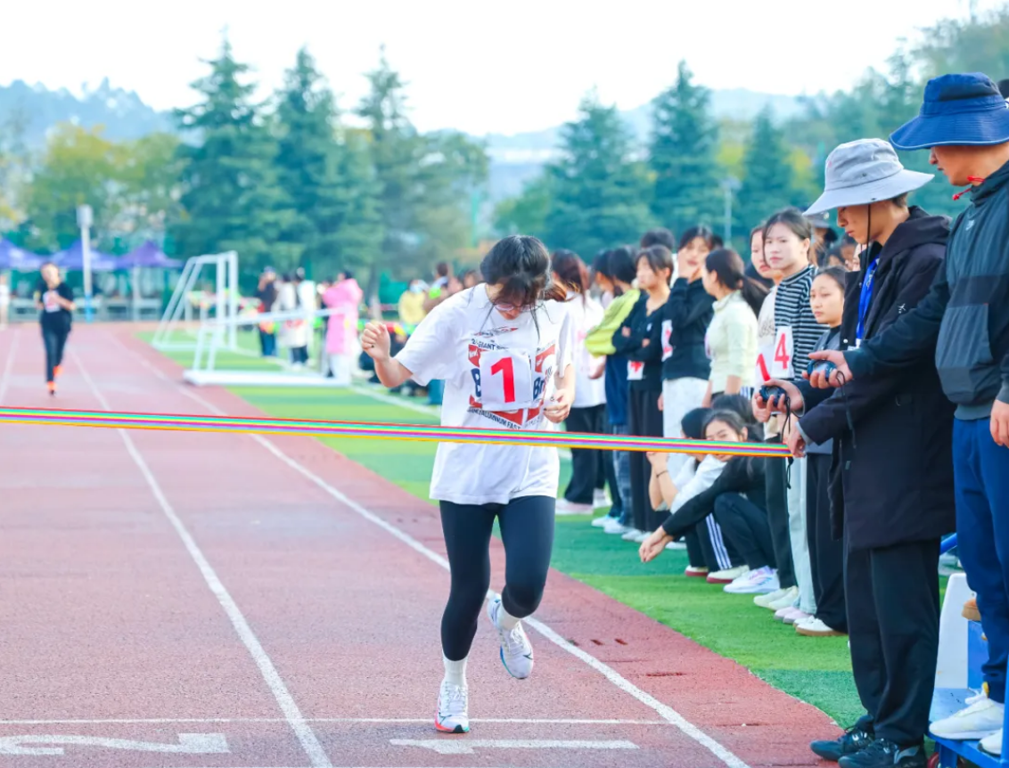 1732804486336021701.png image.png